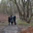 Без внимания не оставим - Газета Видновские Вести