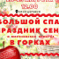 «Большой спас в Горках» пройдет в Ленинском городском округе - VidnoeInform.Ru
