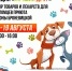«Единая Россия» запускает акцию «Лучший друг» - VidnoeInform.Ru