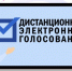 Удобство голосования через ДЭГ на выборах 8 сентября 2024 года - VidnoeInform.Ru