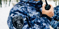 В Московской области сотрудники Росгвардии задержали троих граждан, подозреваемых в краже партии шоколада из гипермаркета - Газета Видновские Вести