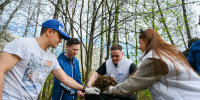 Ленинские партийцы приняли участие в городском субботнике - VidnoeInform.Ru