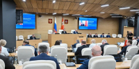 Мособлдума установила фиксированный размер штрафа за непроведение мероприятий по удалению с земельных участков борщевика Сосновского - Видное-ТВ