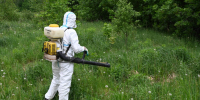 НА БОРЬБУ С ЗЕЛЁНЫМ ЗАХВАТЧИКОМ - Газета Видновские Вести