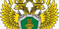 С 1 сентября 2025 года устанавливается административная ответственность за продажу несовершеннолетним потенциально опасных газосодержащих товаров бытового назначения - СМИ Видное