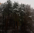Зимний мороз накрыл Ленинский округ - Regions.Ru