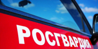 Росгвардейцы задержали подозреваемых в разбойном нападении в Подмосковье - Видное-ТВ
