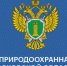 Межрайонная природоохранная прокуратура  Московской области разъясняет - СМИ Видное